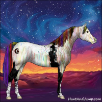 Horse Color:Painted Bay Ice Tobiano 