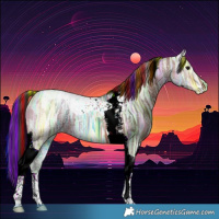 Horse Color:Painted Bay Ice Tobiano 