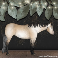 Horse Color:Gray Brown Dun 