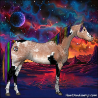 Horse Color:Painted Bay Ice Tobiano 