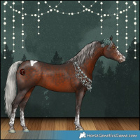 Horse Color:White Spotted Silver Brown Tobiano 