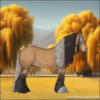 Horse Color:Buckskin Dun  and Silver Buckskin Dun 