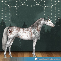 Horse Color:White Spotted Silver Brown