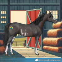 Horse Color:Brown Sabino 