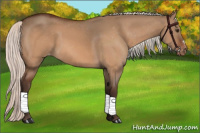 Horse Color:Silver Brown Dun Appaloosa 