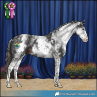 Horse Color:White Spotted Liver Chestnut Tobiano 