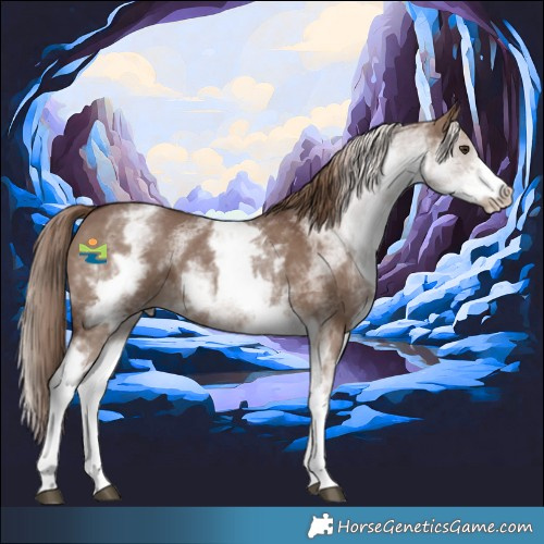 Horse Color:White Spotted Liver Red Dun 