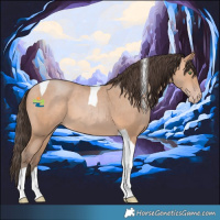 Horse Color:Amber Champagne Tobiano 