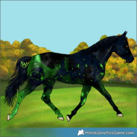 Horse Color:ERROR: UNKNOWN ANOMALY