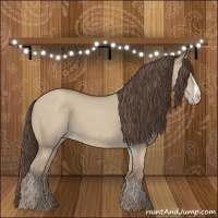 Horse Color:Classic Champagne Dun 