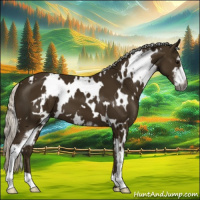 Horse Color:Gray White Spotted Silver Smoky Black Sabino 