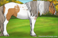 Horse Color:Gray Silver Buckskin Dun Tobiano 