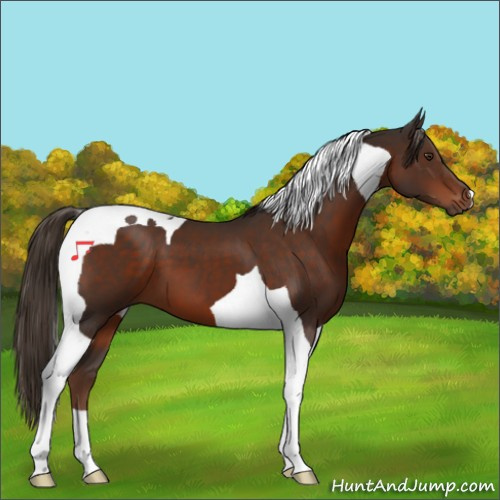 Horse Color:Liver Chestnut Tobiano 
