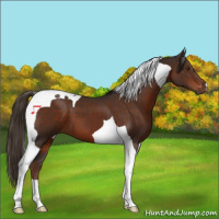 Horse Color:Liver Chestnut Tobiano 