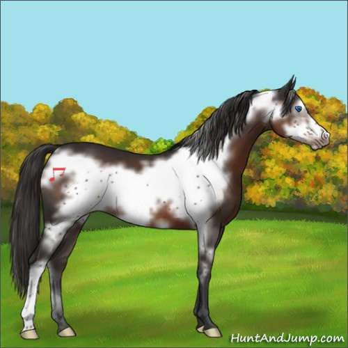 Horse Color:Liver Chestnut Frame 