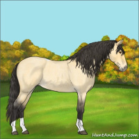 Horse Color:Buckskin Roan Dun Tobiano 