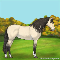 Horse Color:Buckskin Roan Dun Tobiano 