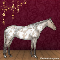 Horse Color:Silver Brown Roan Dun Near Leopard 