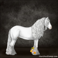 Horse Color:Silver Perlino Dun 