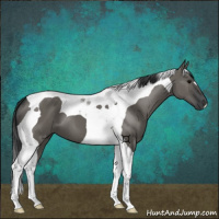 Horse Color:Grullo Tobiano