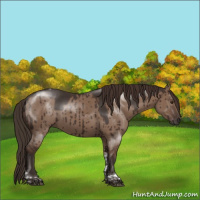 Horse Color:Liver Red Dun Tobiano Rabicano Brindle 