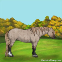 Horse Color:Liver Red Dun Roan Tobiano Rabicano Brindle 