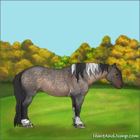 Horse Color:Brown Roan Dun Tobiano Rabicano