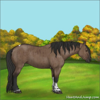 Horse Color:Liver Red Dun Tobiano Rabicano Brindle 