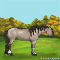 Horse Color:Liver Red Dun Tobiano 
