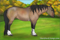 Horse Color:Bay Dun Tobiano 