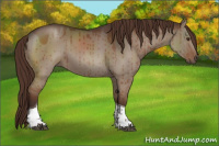 Horse Color:Liver Red Dun Tobiano Brindle 