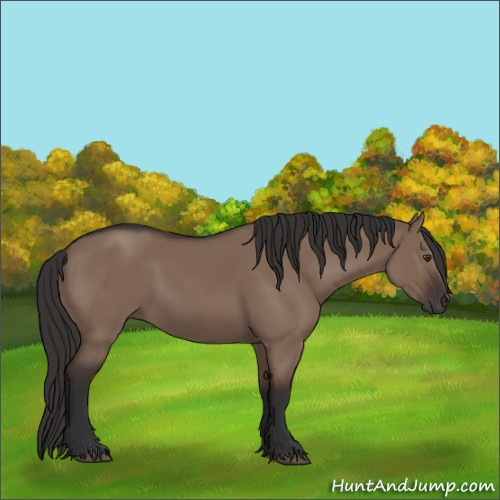 Horse Color:Liver Red Dun Rabicano 