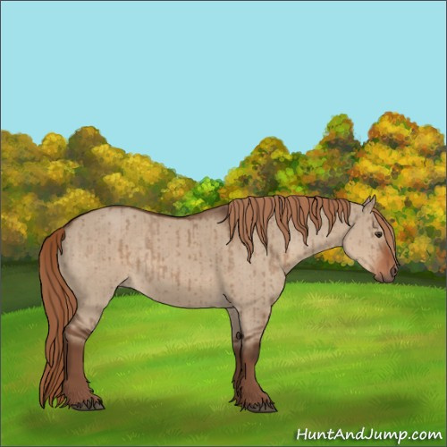 Horse Color:Liver Red Dun Rabicano Brindle 