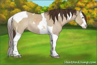 Horse Color:Liver Red Dun Roan Splash Tobiano Rabicano 