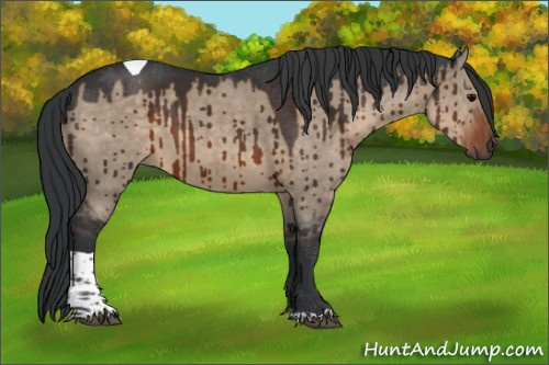 Horse Color:Brown Dun Tobiano Brindle 