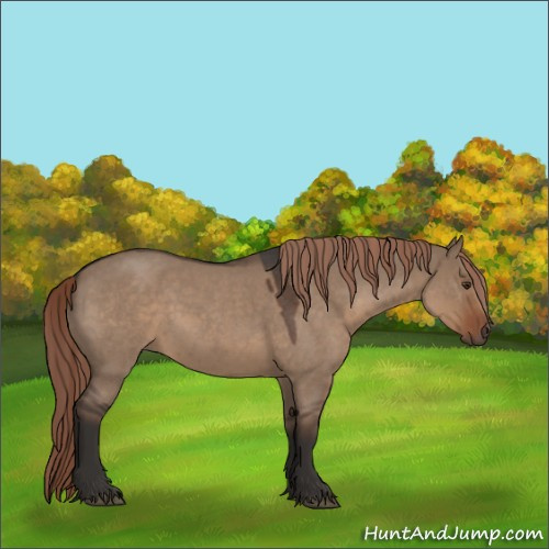 Horse Color:Liver Red Dun Roan 