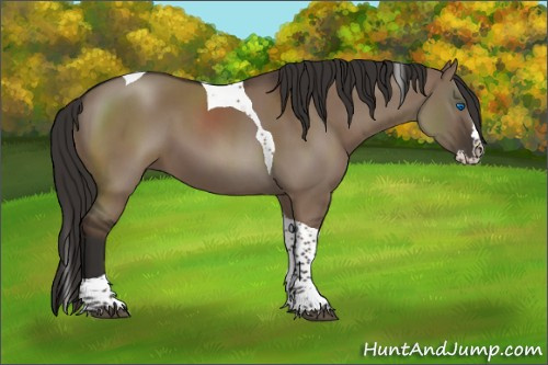 Horse Color:Liver Red Dun Splash Tobiano Rabicano 