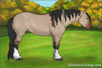 Horse Color:Liver Red Dun Tobiano Rabicano 