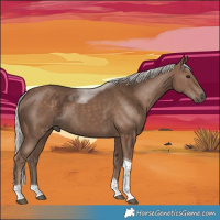 Horse Color:Silver Black Tobiano