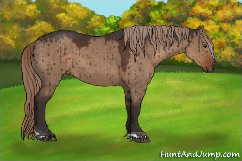 Horse Color:Liver Red Dun Tobiano Brindle 