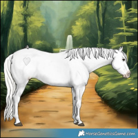 Horse Color:Silver Brown Dun Appaloosa 