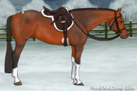 Horse Color:Bay Tobiano 
