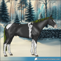 Horse Color:Painted Black Splash Tobiano