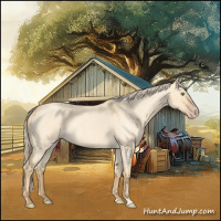 Horse Color:Gold Champagne Roan Dun 