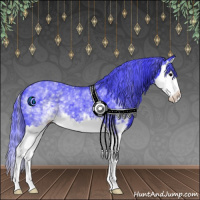 Horse Color:Watercolor White Spotted Black Splash 