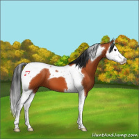 Horse Color:Brown Splash Tobiano 