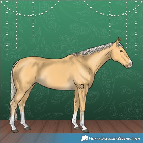 Horse Color:Palomino