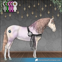 Horse Color:Classic Cream Champagne Pearl Rabicano 