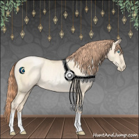 Horse Color:Classic Cream Champagne Pearl Rabicano 