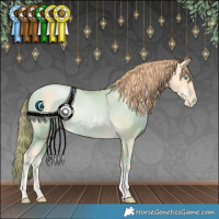 Horse Color:Classic Cream Champagne Pearl Rabicano 